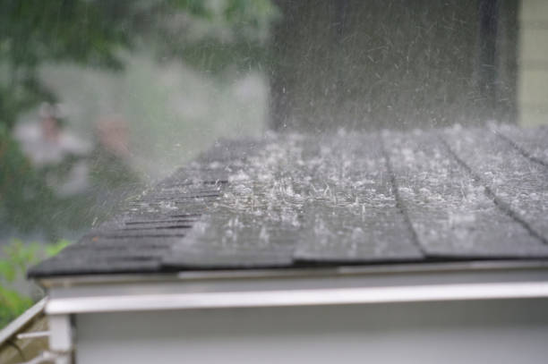 Best Roof Insulation Installation  in Edwardsville, KS